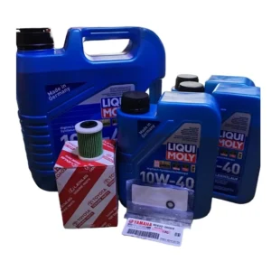 Kit Mantención Yamaha F300 100 Hrs