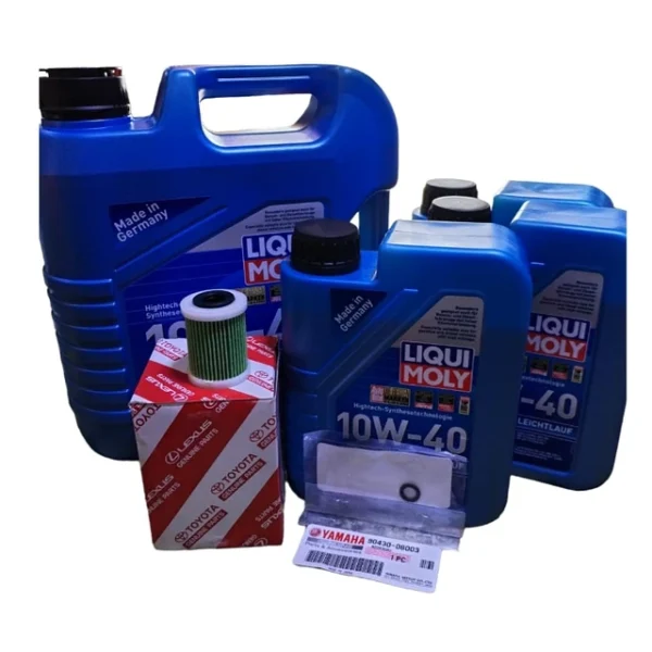 Kit Mantención Yamaha F300 100 Hrs