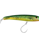 BONITO HALCO LASER PRO 210