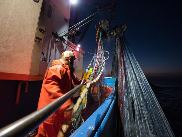 JARDINERA FISHER GUYCOTTEN